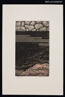 主要名稱：藏書票─Misty cherry blossoms（迷濛盛櫻）圖檔，第1張，共1張