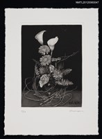 主要名稱：藏書票─White flower（白色的花）圖檔，第1張，共1張