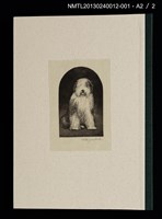 主要名稱：犬と暮らした十二年—愛犬ジュンの生涯/副題名：くらぶデときお第四回刊本圖檔，第5張，共6張