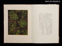 主要名稱：版画と随想—都会の憂愁/副題名：くらぶデときお第六回刊本圖檔，第14張，共23張