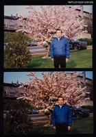 主要名稱：李唐基於戶外花樹前獨照2-28圖檔，第1張，共3張