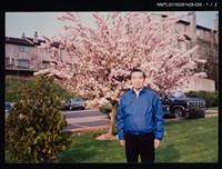 主要名稱：李唐基於戶外花樹前獨照2-28圖檔，第2張，共3張