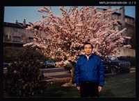 主要名稱：李唐基於戶外花樹前獨照2-28圖檔，第3張，共3張