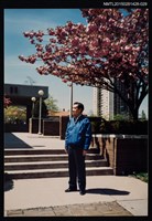 主要名稱：李唐基於戶外花樹前獨照2-29圖檔，第1張，共1張