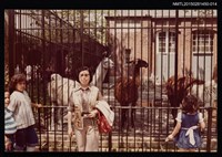 主要名稱：琦君個人生活照2-14圖檔，第1張，共1張