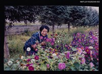 主要名稱：琦君友人小民之獨照2圖檔，第1張，共1張