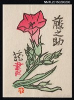 主要名稱：藏書票—煙草の花（煙草花）圖檔，第1張，共1張