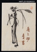 主要名稱：藏書票—撿拾植物圖檔，第1張，共1張