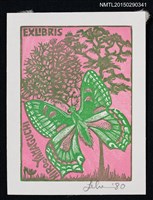 主要名稱：藏書票—展翅的蝴蝶圖檔，第1張，共1張