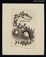 主要名稱：藏書票—少女如花圖檔，第1張，共1張