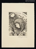 主要名稱：藏書票—月光下的水仙與女孩圖檔，第1張，共1張