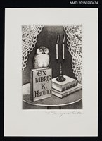 主要名稱：藏書票—本とみみずく（書本與貓頭鷹）圖檔，第1張，共1張