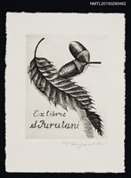 主要名稱：藏書票—橡樹葉和果實圖檔，第1張，共1張