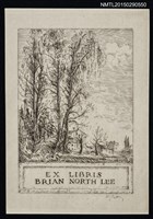 主要名稱：藏書票—大樹圖檔，第1張，共1張