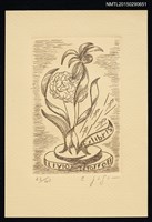 主要名稱：藏書票—花圖檔，第1張，共1張