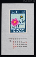 主要名稱：1990年9月藏書票曆コスモス（大波斯菊）/劃一題名：花 VOL Ⅲ（B）  圖檔，第1張，共1張