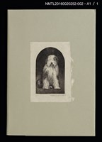 主要名稱：犬と暮した十二年—愛犬ジュソの生涯（版畫）圖檔，第2張，共3張