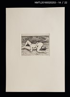 主要名稱：宮下登喜雄好色銅版藏書票集圖檔，第15張，共24張