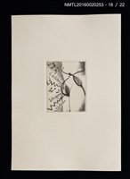 主要名稱：宮下登喜雄好色銅版藏書票集圖檔，第19張，共24張