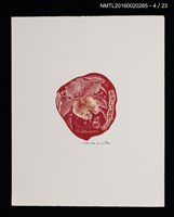 主要名稱：花のプレリュード（栗田政裕木口木版畫書票集）圖檔，第5張，共29張