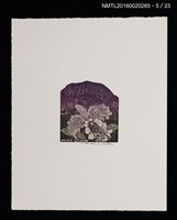 主要名稱：花のプレリュード（栗田政裕木口木版畫書票集）圖檔，第6張，共29張
