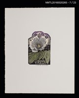 主要名稱：花のプレリュード（栗田政裕木口木版畫書票集）圖檔，第8張，共29張