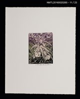 主要名稱：花のプレリュード（栗田政裕木口木版畫書票集）圖檔，第12張，共29張