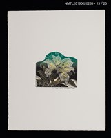 主要名稱：花のプレリュード（栗田政裕木口木版畫書票集）圖檔，第14張，共29張