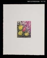 主要名稱：花のプレリュード（栗田政裕木口木版畫書票集）圖檔，第17張，共29張