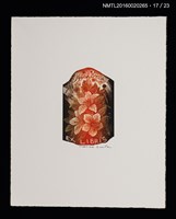 主要名稱：花のプレリュード（栗田政裕木口木版畫書票集）圖檔，第18張，共29張