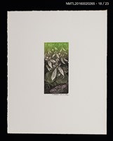 主要名稱：花のプレリュード（栗田政裕木口木版畫書票集）圖檔，第19張，共29張