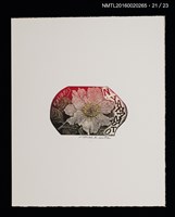 主要名稱：花のプレリュード（栗田政裕木口木版畫書票集）圖檔，第22張，共29張