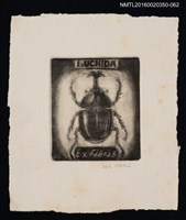 主要名稱：藏書票—獨角仙/劃一題名：內田市五郎藏書票集圖檔，第1張，共1張