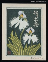 主要名稱：藏書票—鷺草 /劃一題名：蘭シリーズ • 2圖檔，第1張，共1張