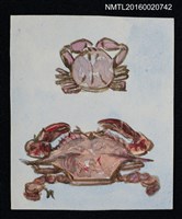 主要名稱：藏書票—蟹（肉筆画）圖檔，第1張，共1張