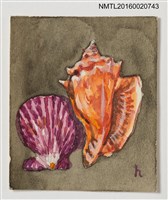 主要名稱：藏書票—貝殼（肉筆画）圖檔，第1張，共1張