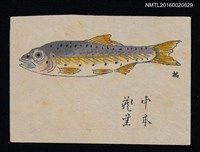 主要名稱：藏書票—鮭魚圖檔，第1張，共1張