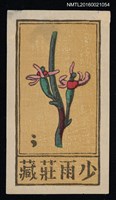 主要名稱：藏書票—沙漠花圖檔，第1張，共1張