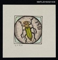 主要名稱：藏書票—昆蟲圖檔，第1張，共1張