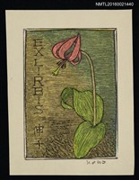 主要名稱：藏書票—豬牙花圖檔，第1張，共1張
