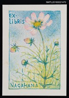 主要名稱：藏書票—粉紅波斯菊圖檔，第1張，共1張