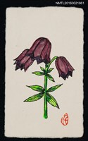 主要名稱：藏書票—紫花圖檔，第1張，共1張