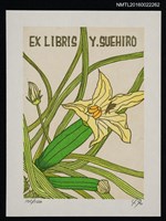 主要名稱：藏書票—黃瓜花圖檔，第1張，共1張