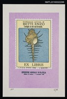 主要名稱：藏書票—貝殼圖檔，第1張，共1張