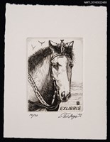 主要名稱：藏書票—馭馬女神圖檔，第1張，共1張