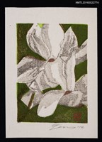 主要名稱：藏書票—シクラメン（仙客來）圖檔，第1張，共1張