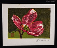 主要名稱：藏書票—ハナミズキ（大花四照花）圖檔，第1張，共1張