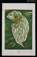 主要名稱：藏書票—ハンカチノキ（珙桐）圖檔，第1張，共1張