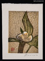 主要名稱：藏書票—ユキワリソウ（雪割草）圖檔，第1張，共1張