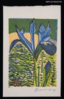 主要名稱：藏書票—イリス（鳶尾花）圖檔，第1張，共1張
